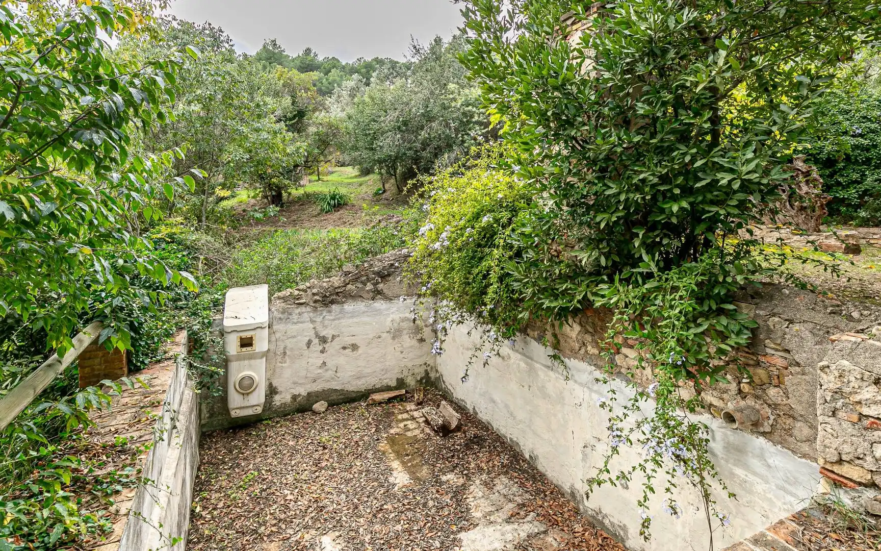 Jardín de Casa o chalet en venta en Sant Andreu de la Barca