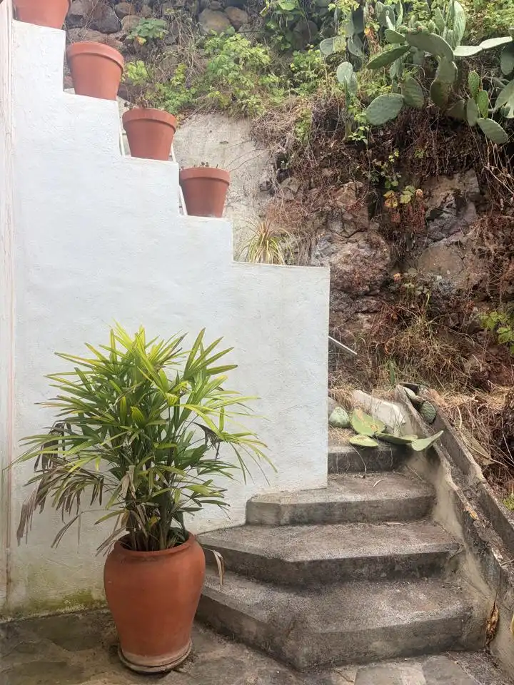 Vista exterior de Casa o chalet de alquiler en Firgas con Jardín privado, Terraza y Amueblado