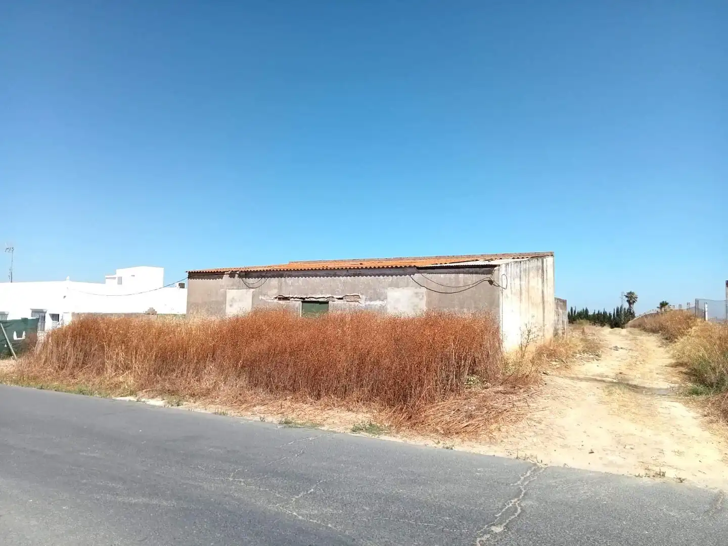 Terreni e lotti in vendita a Moguer