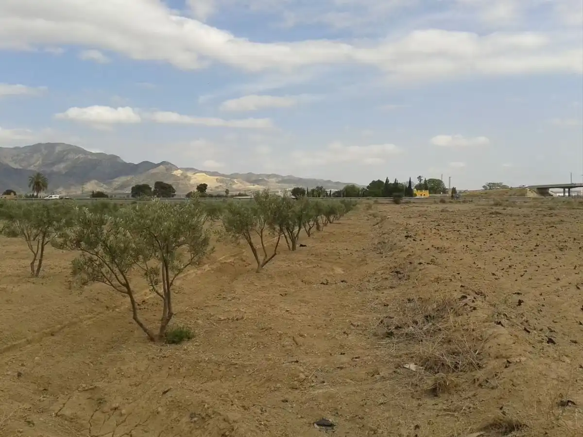 Terreni e lotti in vendita a Alhama de Murcia ciudad, imagen 18