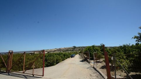 Foto 3 de Residencial en venta en Jacarilla, Alicante