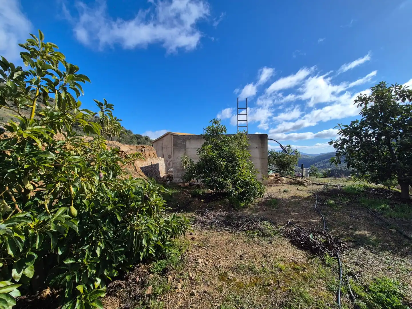 Finca rústica en venta en Yunquera