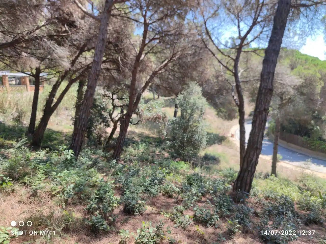 Terreno residencial en venta en Calle Tortuga 21, imagen 7