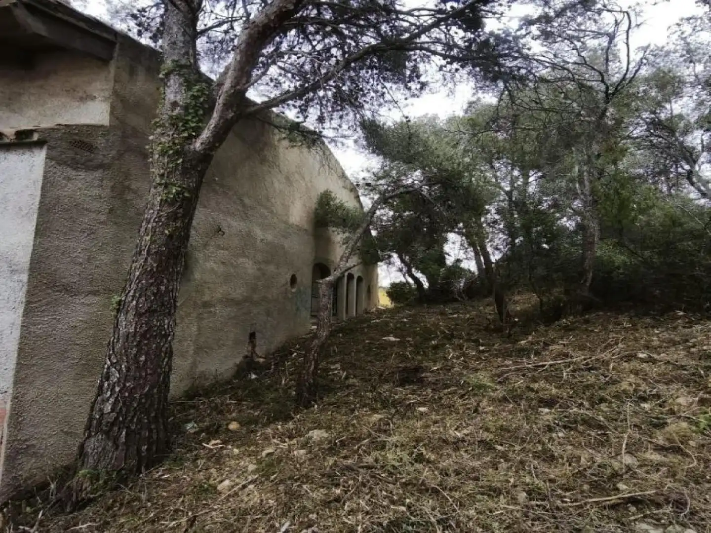 Villa avec jardin à vendre à Albinyana, imagen 13