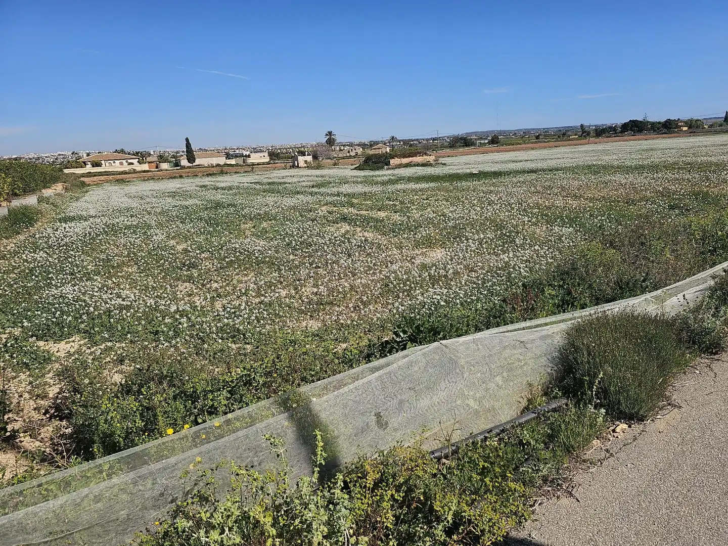 Rural land for sale in Los Montesinos