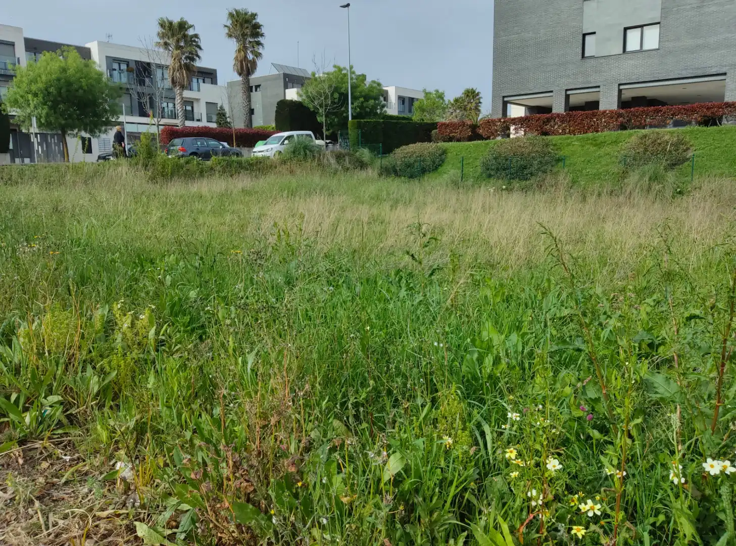 Terreny residencial en venda a Barrio Monte la Torre, imagen 4