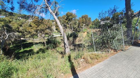 Solar Urbano 726 m. Urbanización La Mora  Cala Tamarit. Carrer Conca Barberà, 56., imatge 4