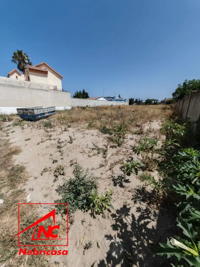 Casa rustica in vendita a La Jara, imagen 2