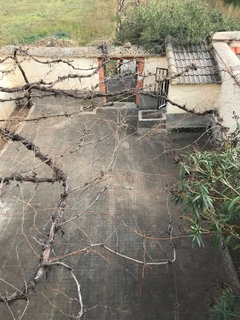 Terraza de Finca rústica en venta en Cosuenda
