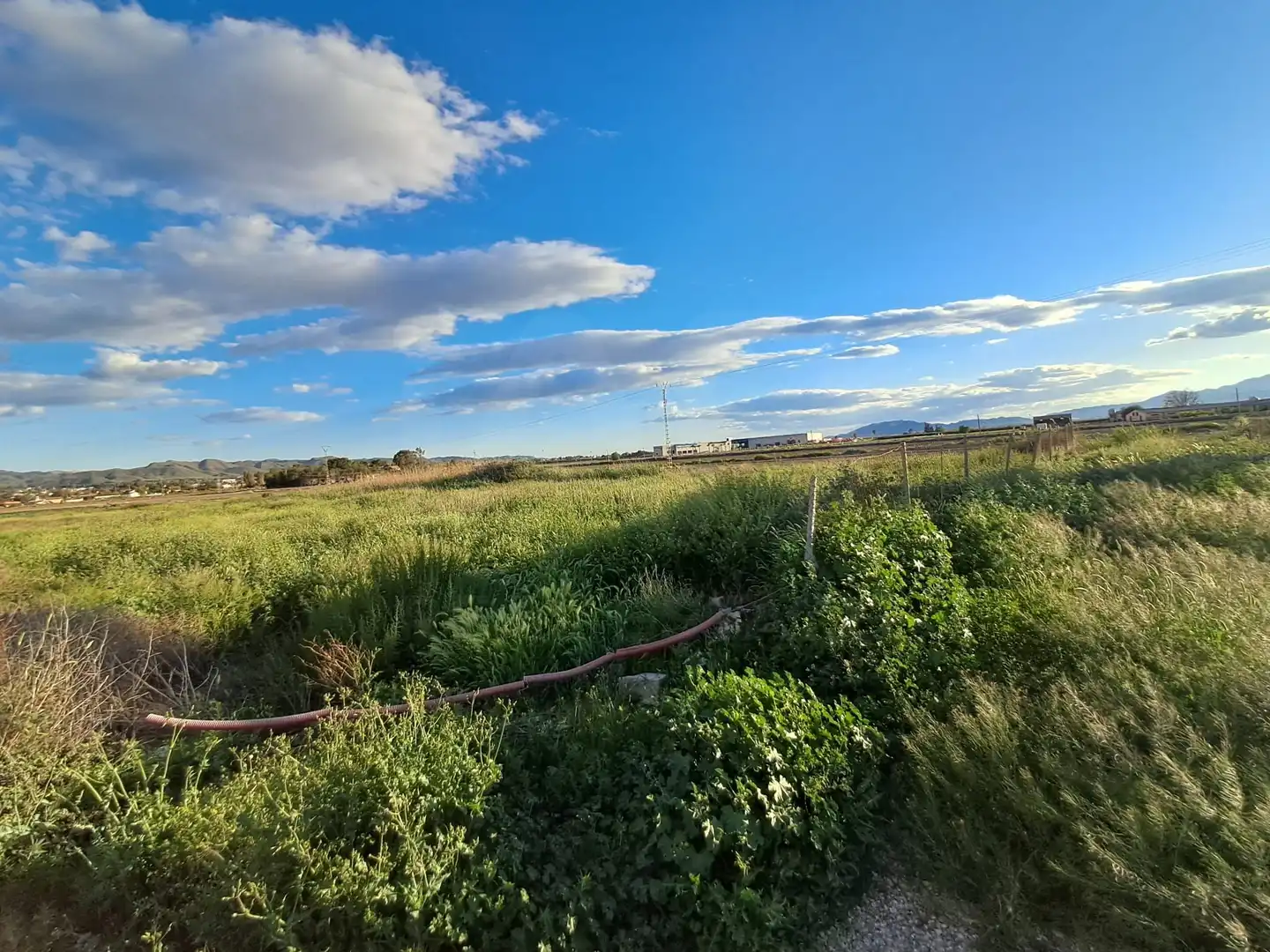Terrenos y solares en venta en Lorca Ciudad, imagen 7