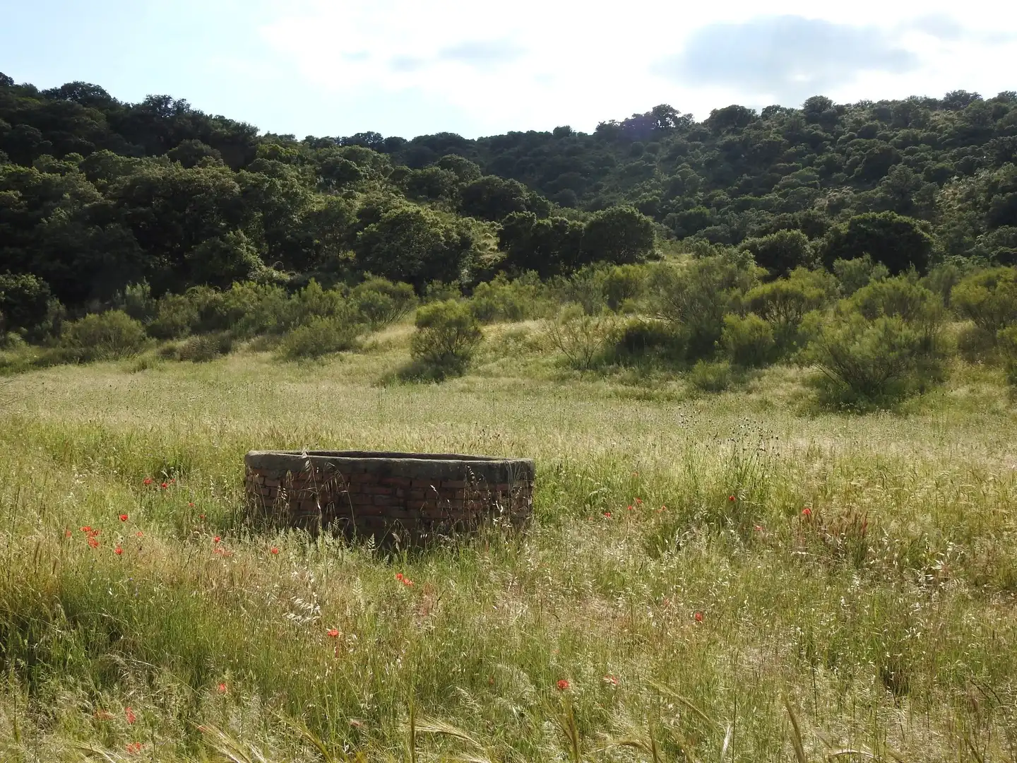 Land for sale in Belvís de la Jara