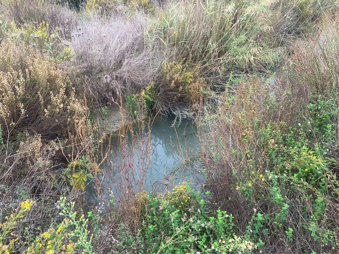Terreno en venta en Casares