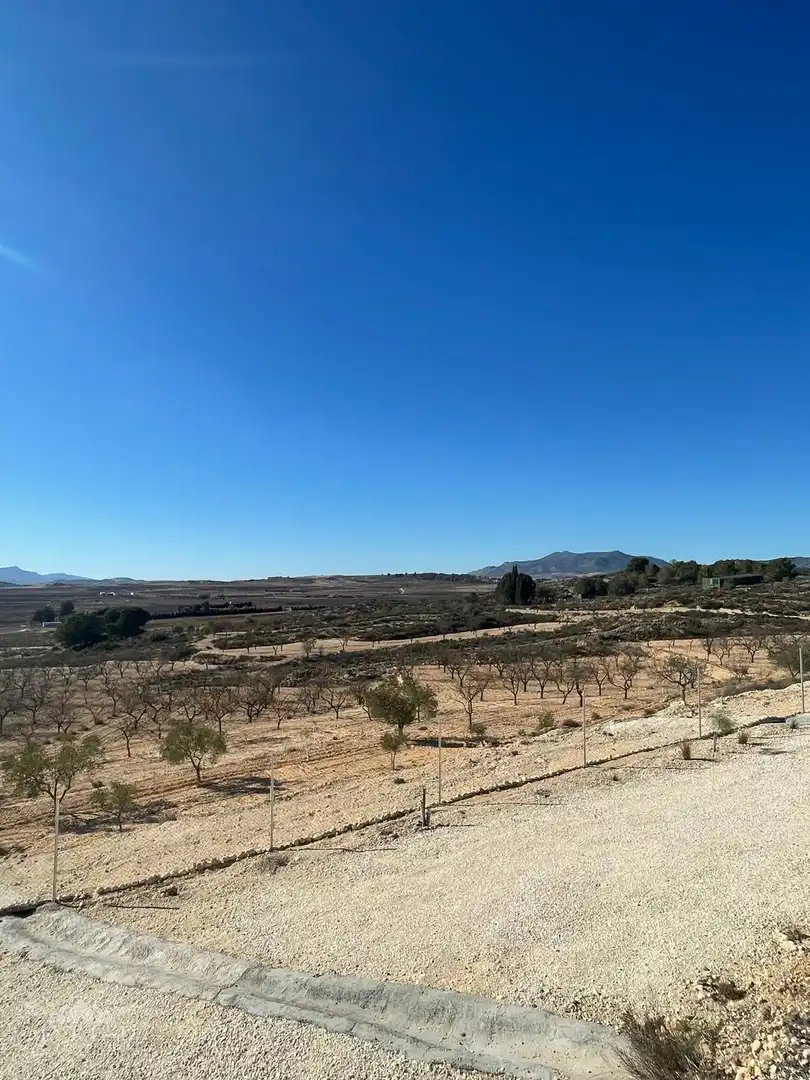 Wohnbaugrundstück zum Verkauf in El Pinós / Pinoso, imagen 22