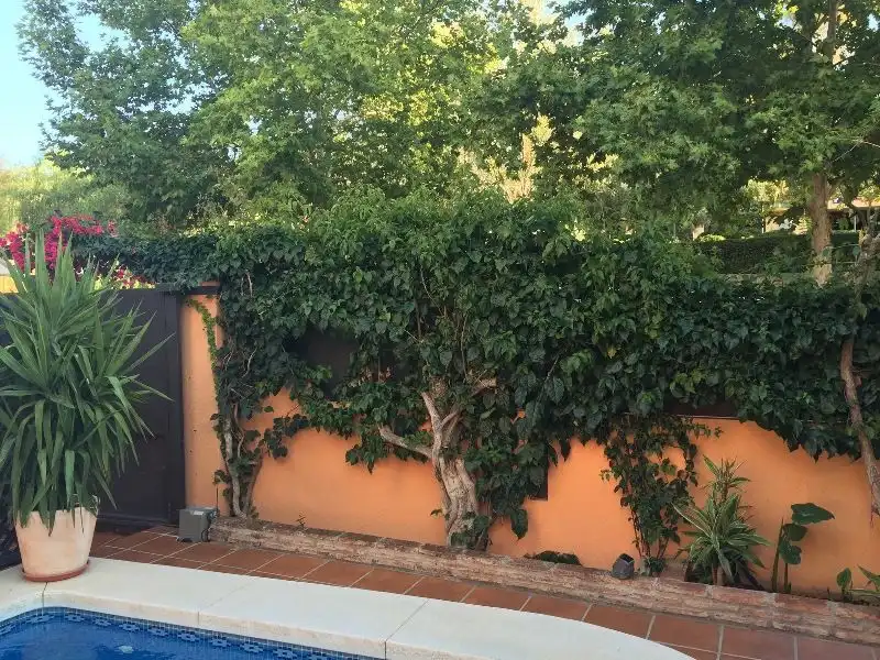 Detached homes for rent in Capellanía - Retamar
