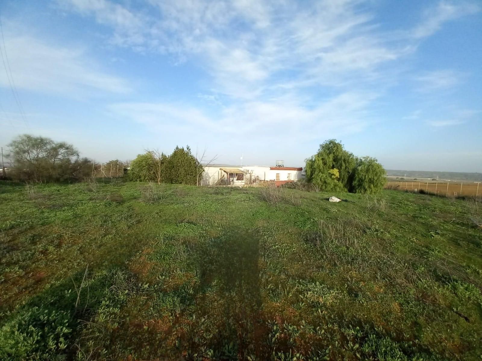 Land for sale in Huévar del Aljarafe