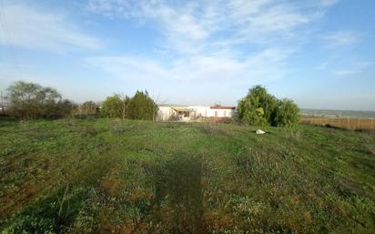 Land for sale in Huévar del Aljarafe