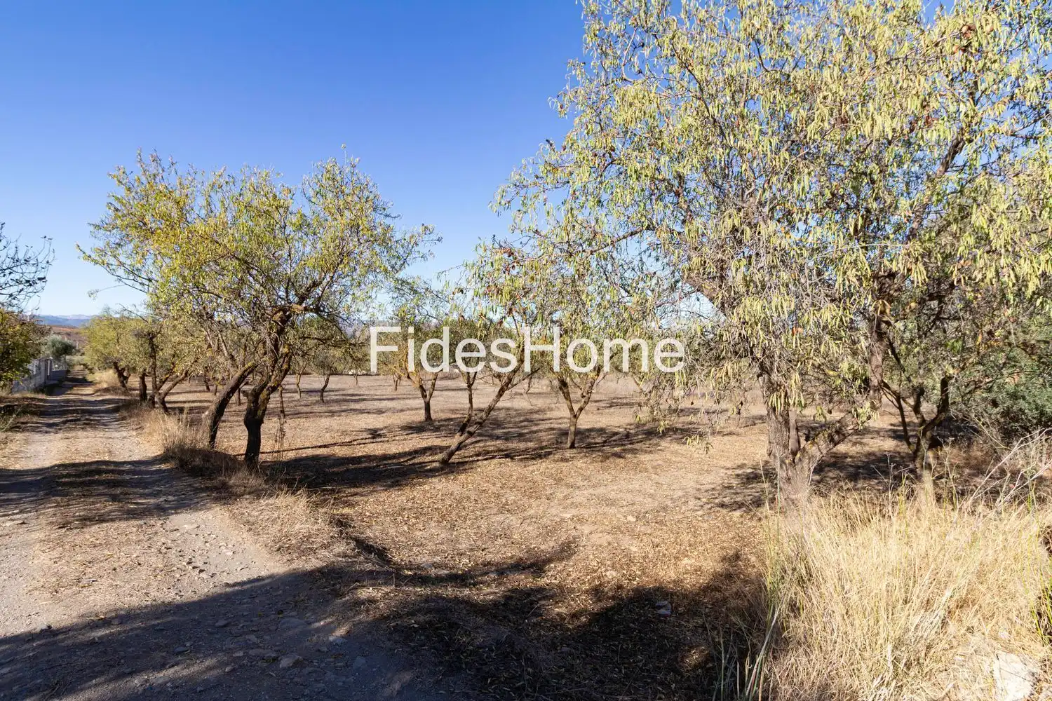 Rural land for sale in XCFX+CX5 Acequias 0, imagen 2