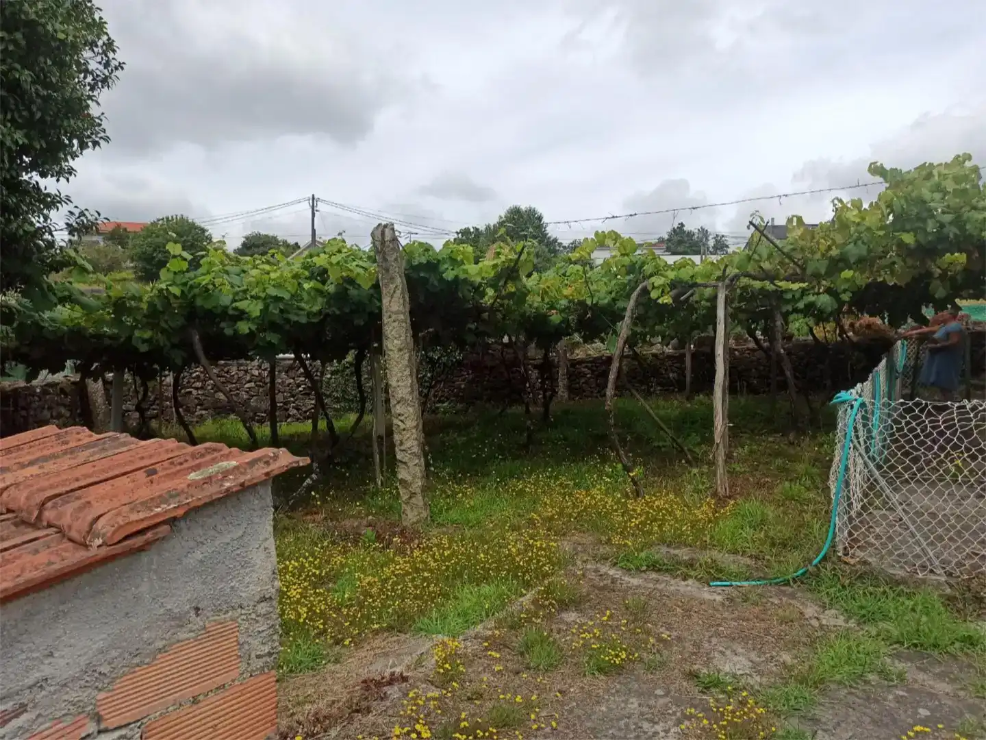 Casa o xalet en venda en Ponte Caldelas