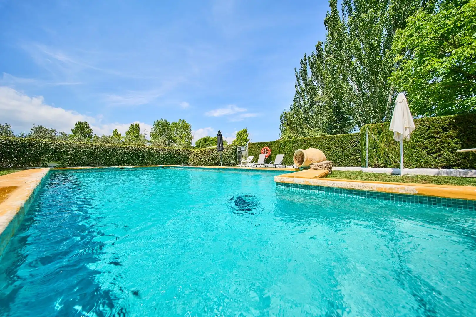Piscina de Finca rústica en venta en Caniles