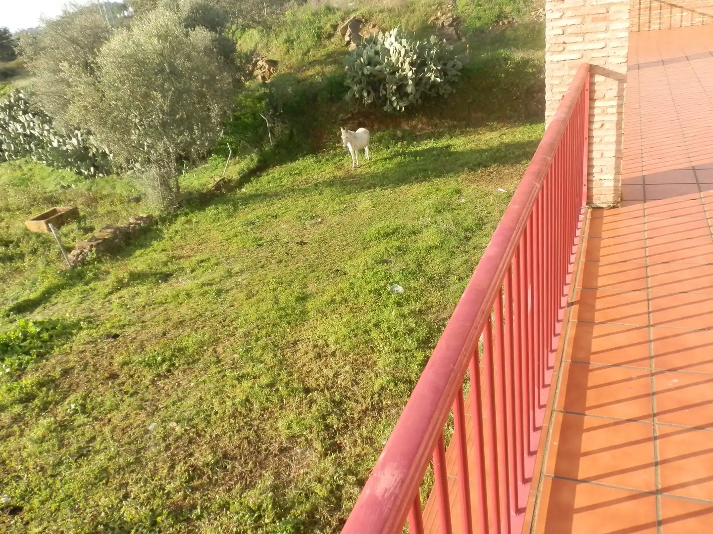 Casa o chalet de alquiler en N/A, -1, Santa Bárbara de Casa