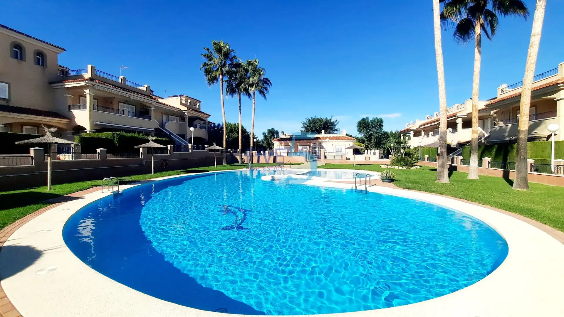 Swimming pool of Detached homes for sale in Pilar de la Horadada  with Air Conditioner, Heating and Terrace