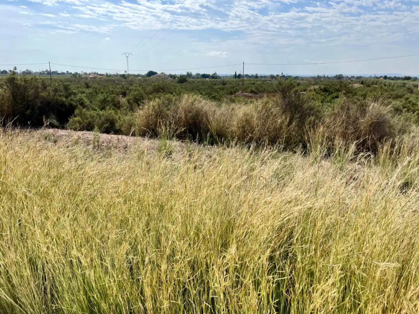 Residencial en venta en Elche de la Sierra