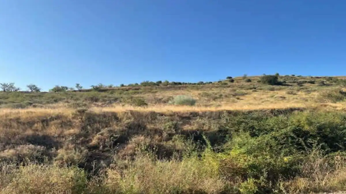 Residencial en venta en Alcanadre