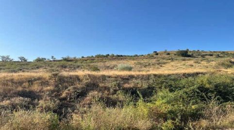 Foto 5 de Residencial en venta en Los Altos , Pg. 18, -1, Alcanadre, La Rioja