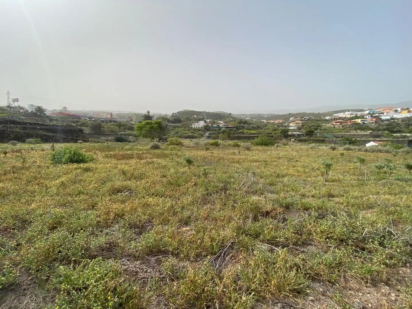 Rural land for sale in Calle la Yedra 59, imagen 2