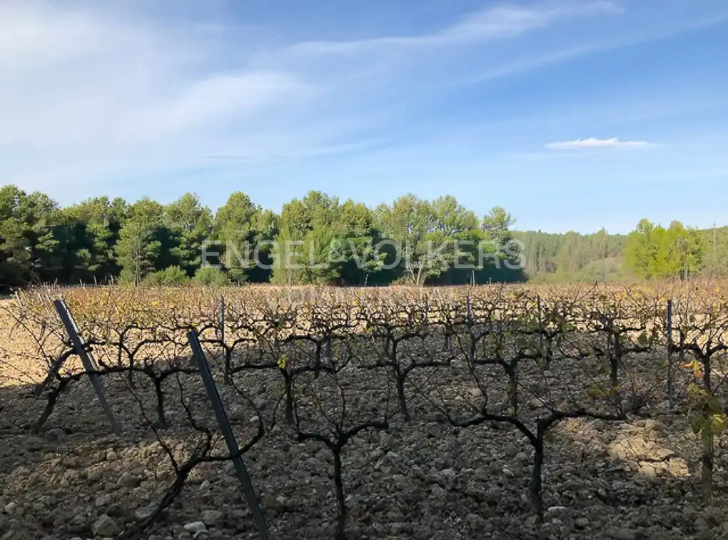 Fabrik Grundstücke zum Verkauf in Avinyonet del Penedès