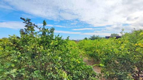 Foto 3 de Casa o chalet en venta en Sueca ciudad, Valencia