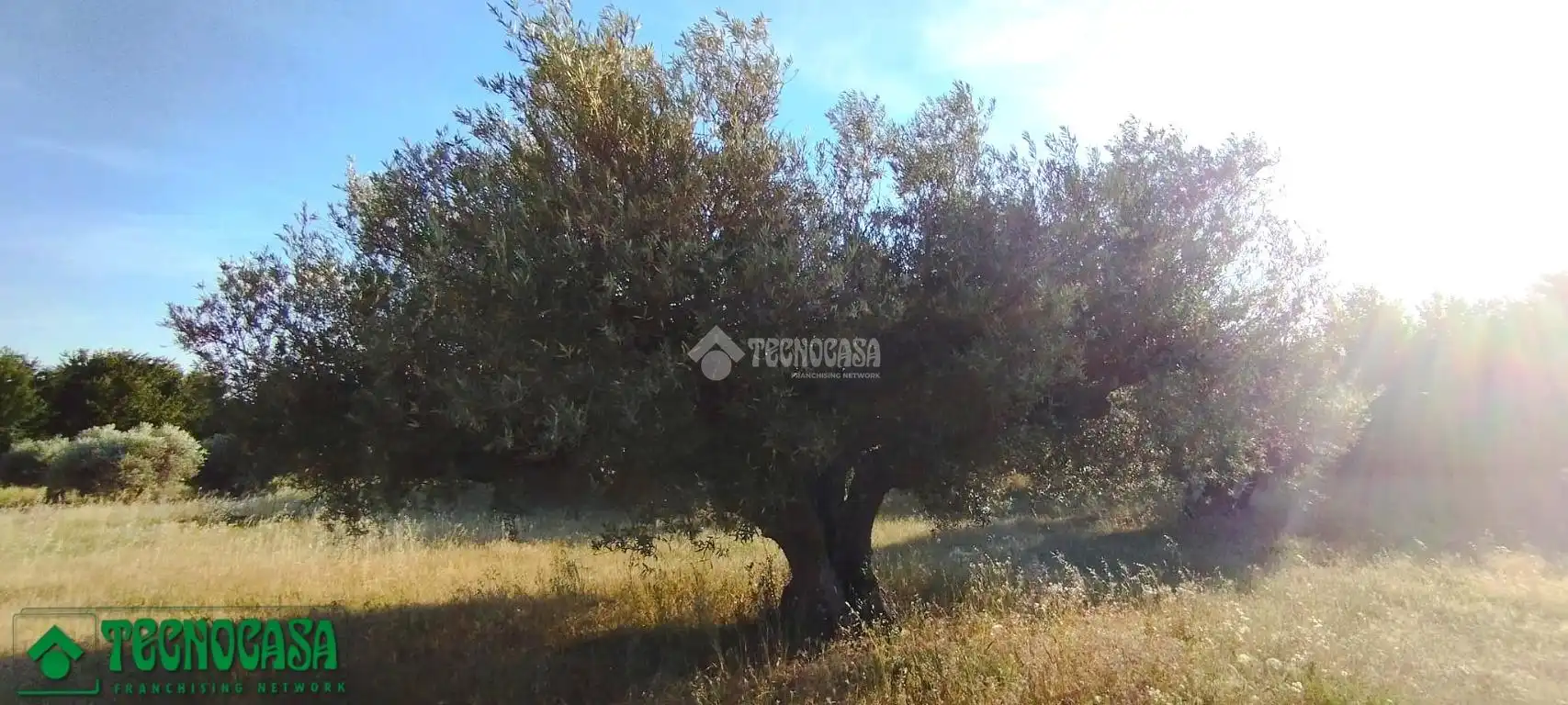 Terreni e lotti in vendita a Méntrida, imagen 15