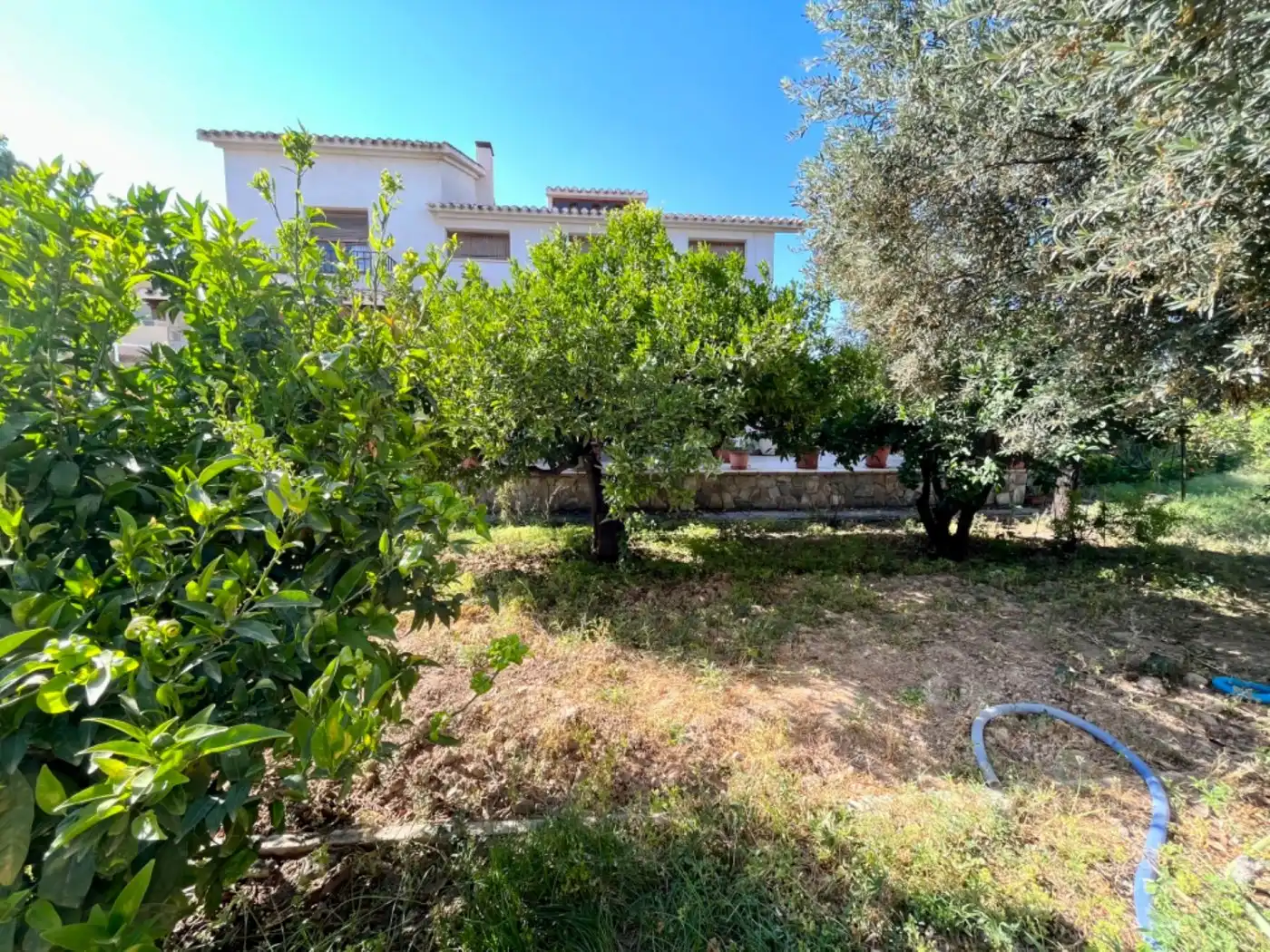 Villa avec terrasse à vendre à Elche ciudad, imagen 63
