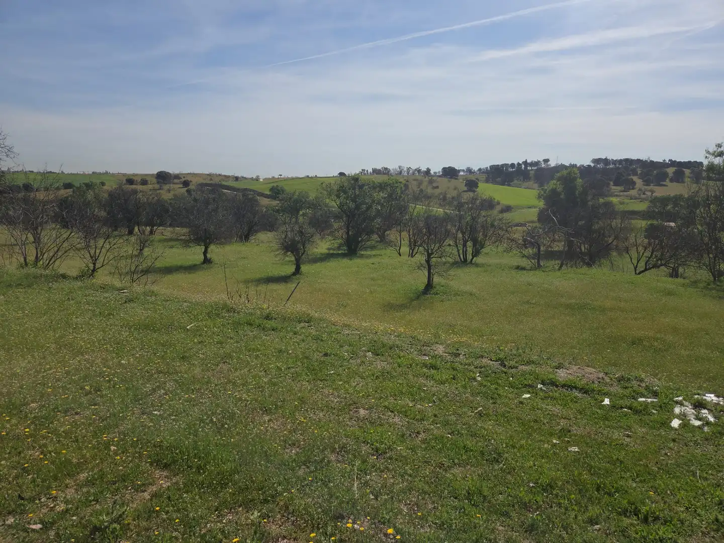 Finca rústica en venta en Navalcarnero