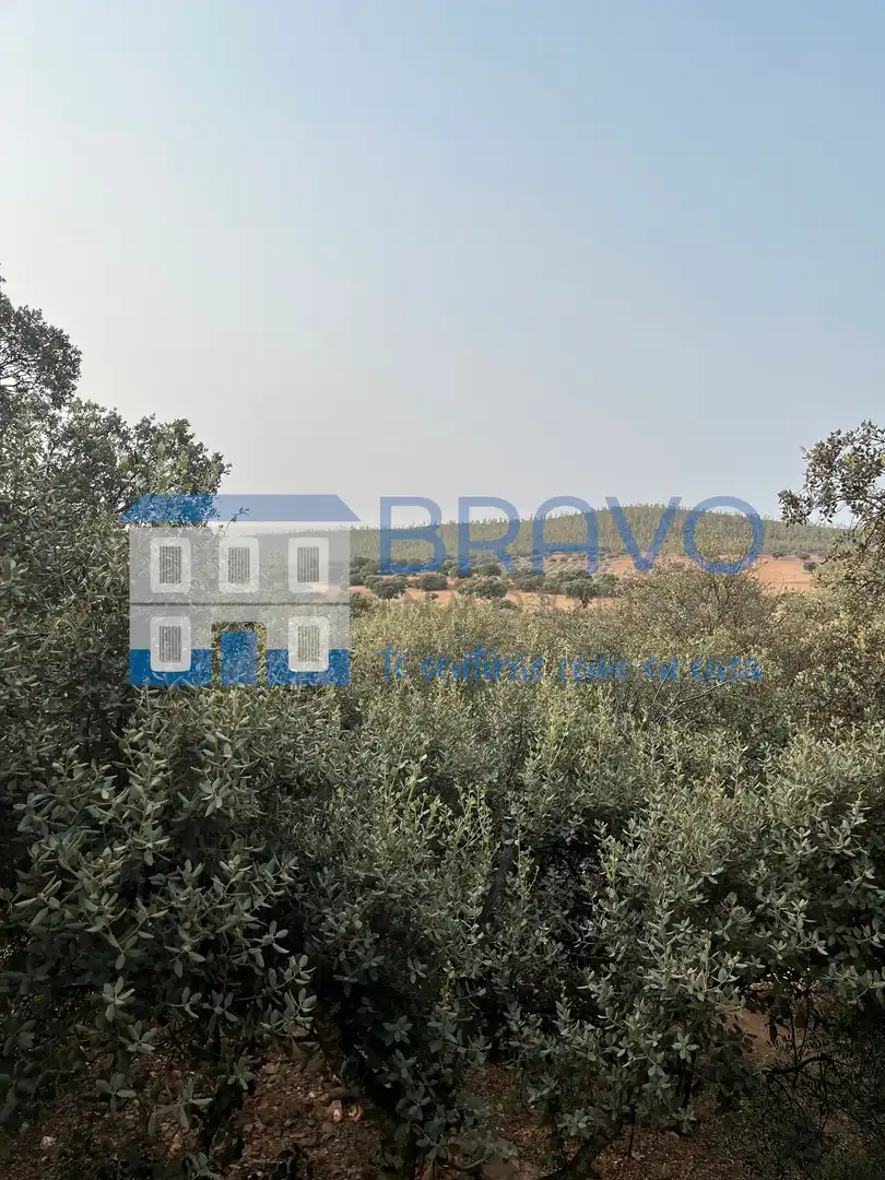 Chalet en venta en Don Benito, imagen 25