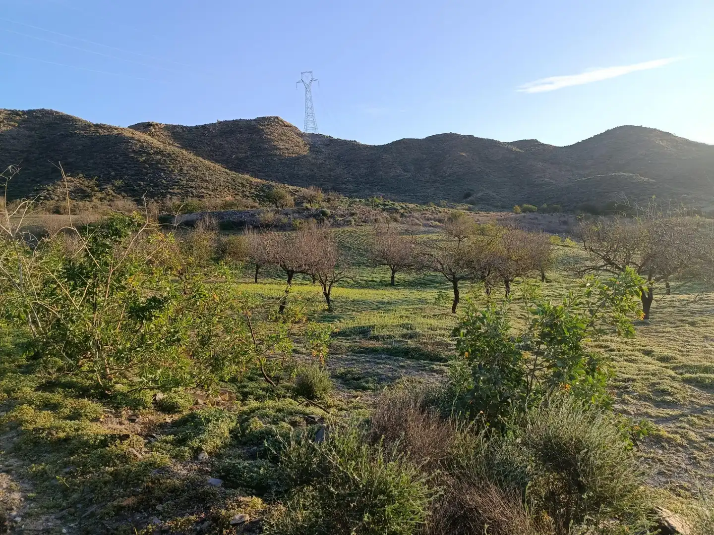 Terreny rústic en venda a Pasaje FUENTE, LA - DS PUERTOS 1, imagen 6