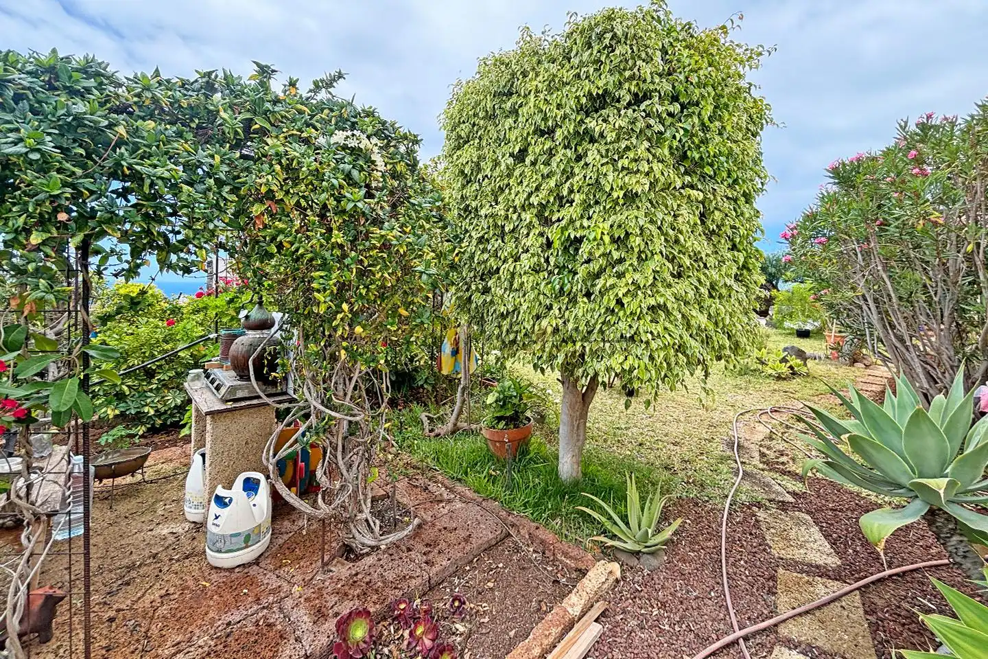 Maison avec jardin à vendre à Las Cancelas, imagen 34