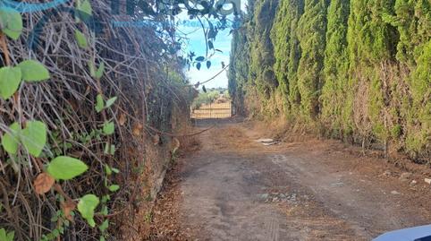 Photo 5 of House or chalet for sale in San Bartolomé de la Torre, Huelva