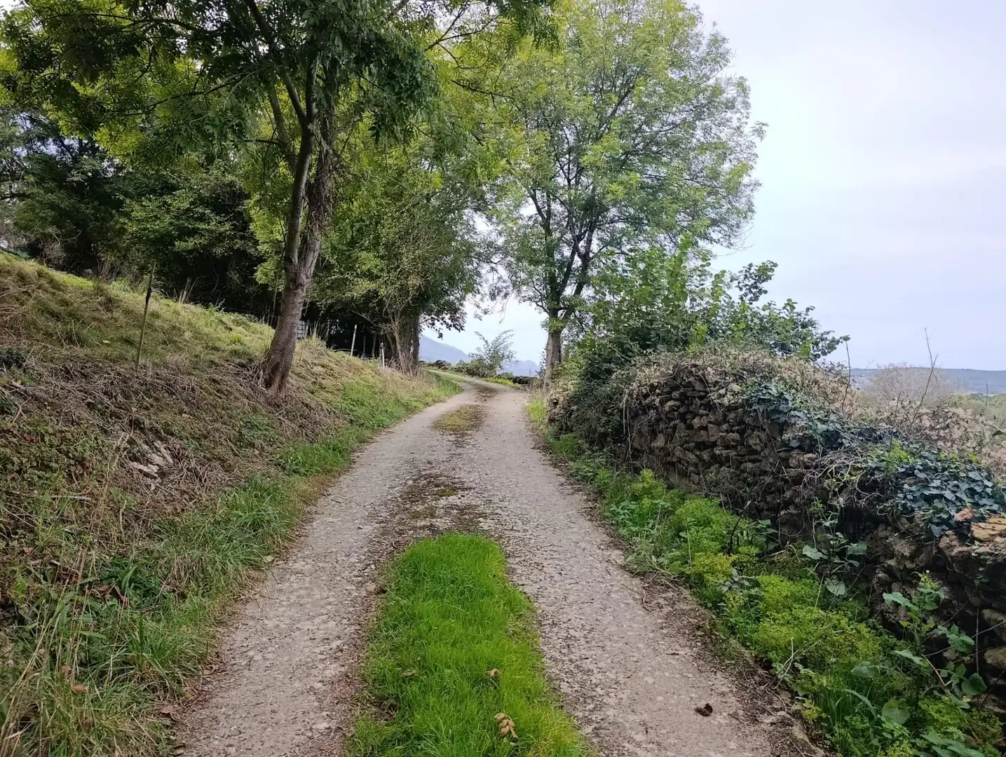 Rustikales Grundstück zum Verkauf in Carretera Piñera (Noriega) 0, imagen 43