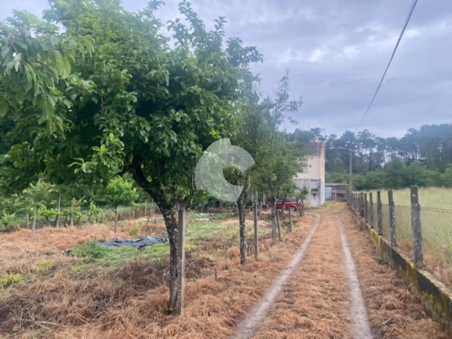 Casa amb jardí en venda a San Cristovo de Cea, imagen 4