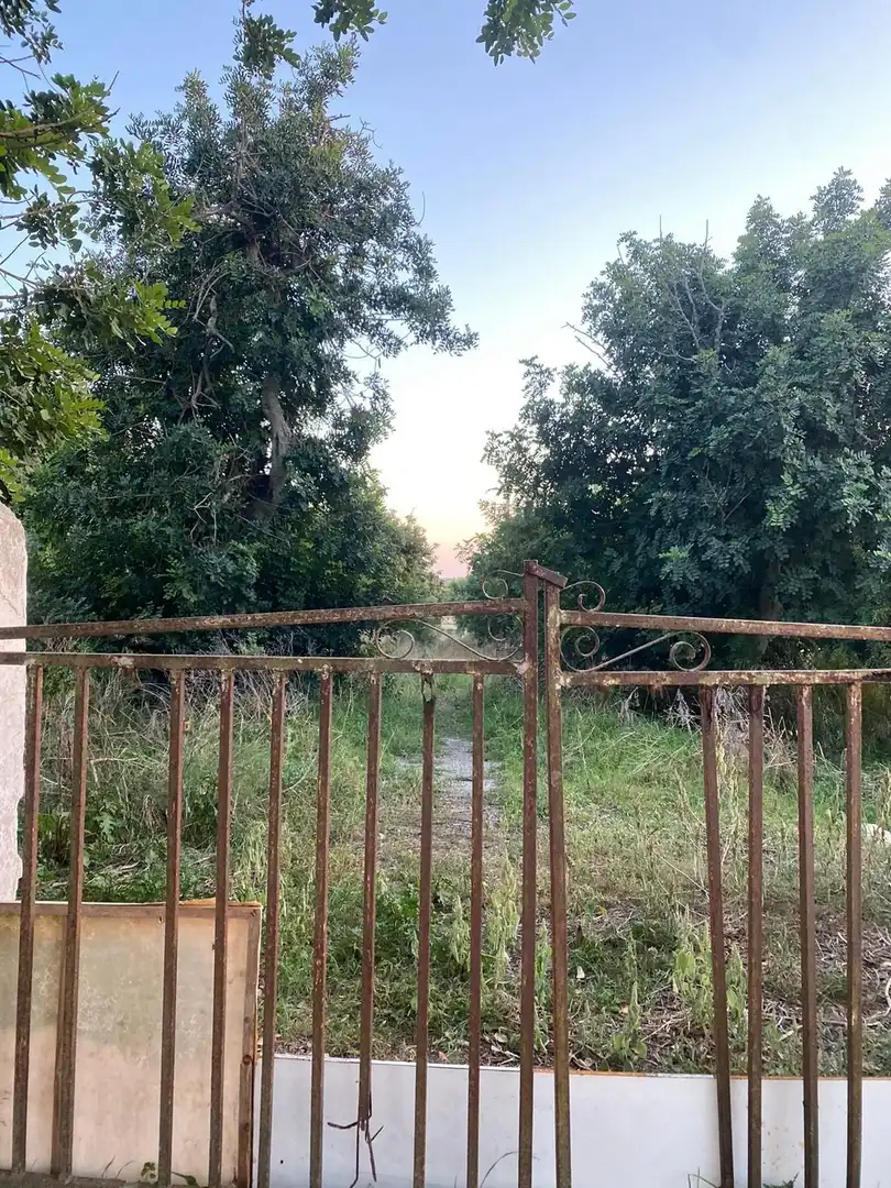 Casa con terraza en venta en Es Grau - Serra Morena, imagen 25