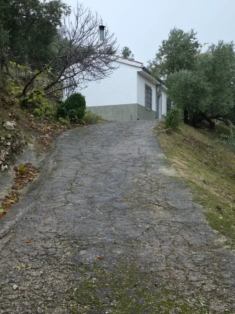Vista exterior de Finca rústica en venta en Jaén