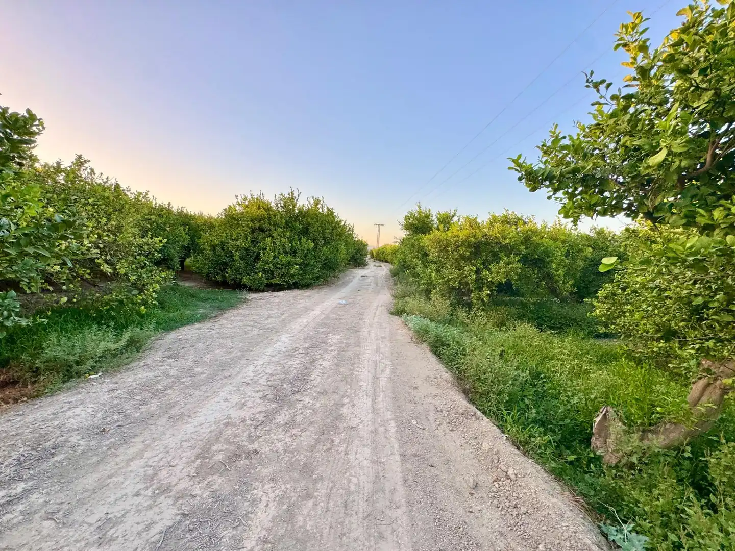 Land for sale in Orihuela