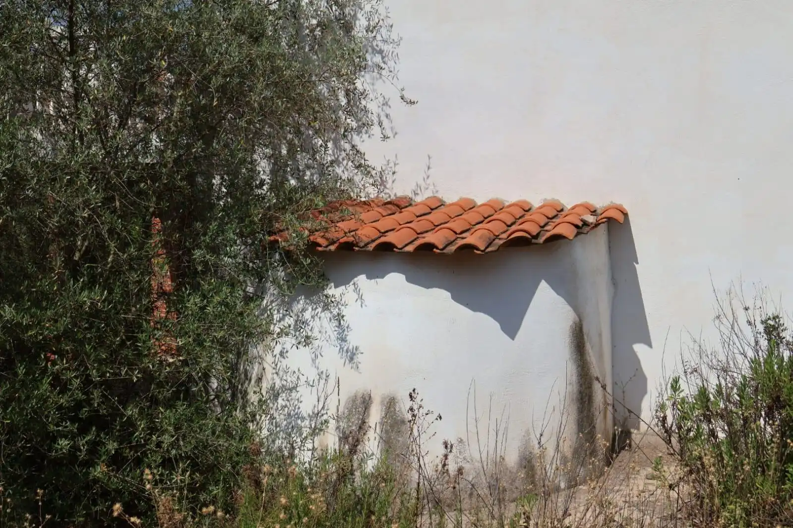Finca rústica en venda a Vall d'Alba