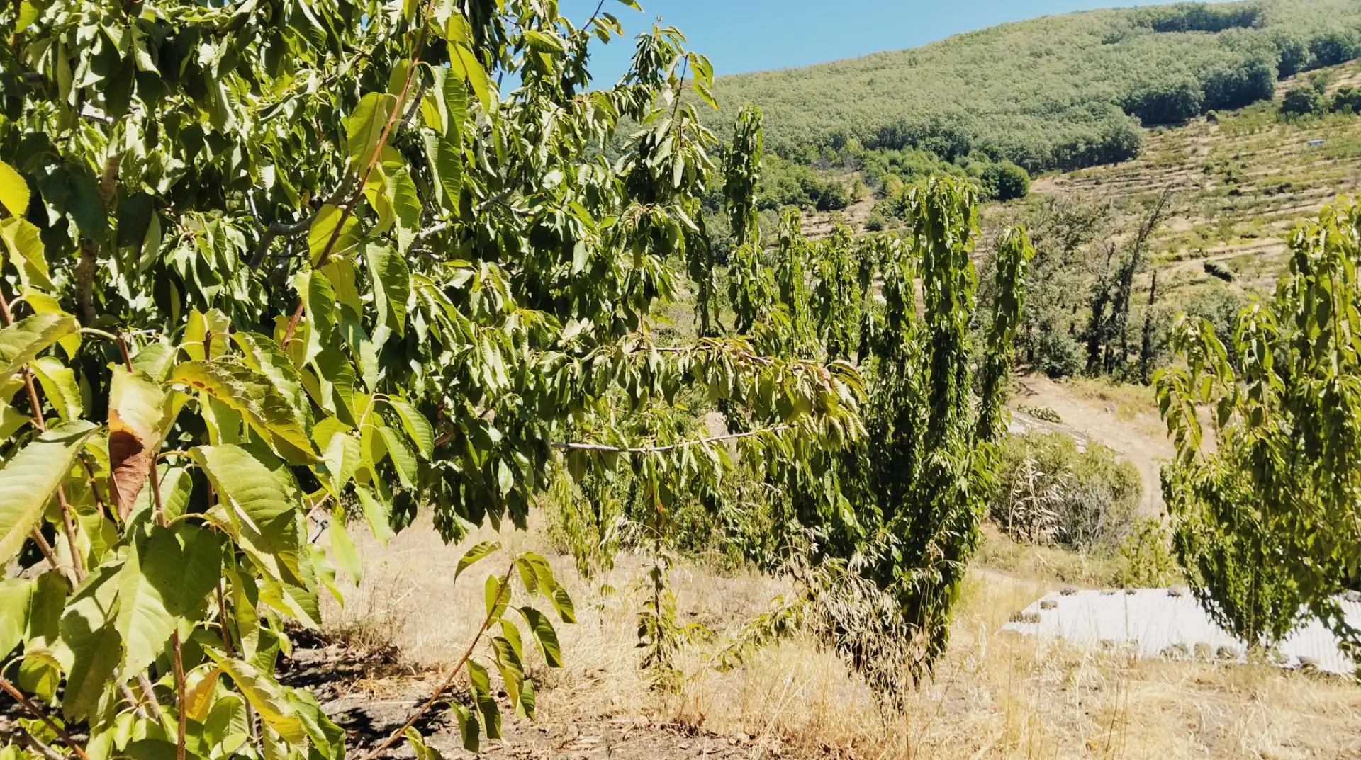 Terreni e lotti in vendita a N/A, imagen 15