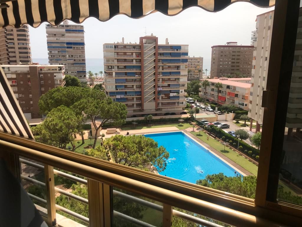 Piscina de Piso de alquiler en Alicante / Alacant con Terraza, Amueblado y Piscina comunitaria