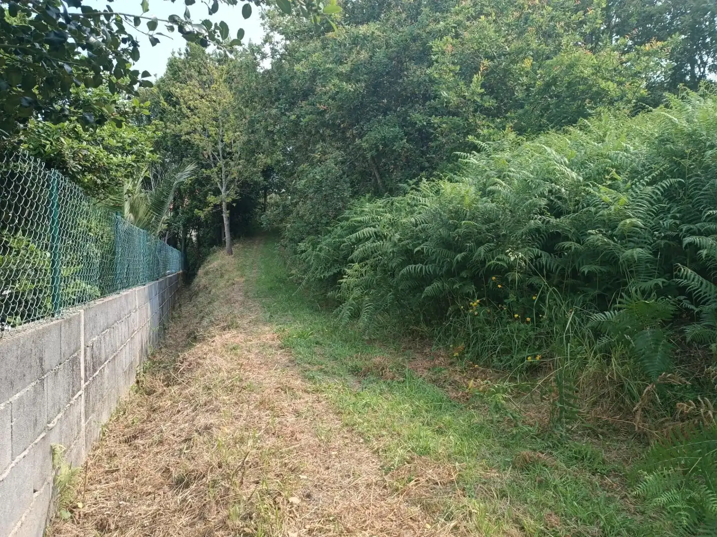 Rural land for sale in Camino SAN XURXO-SAIANS 20, imagen 9