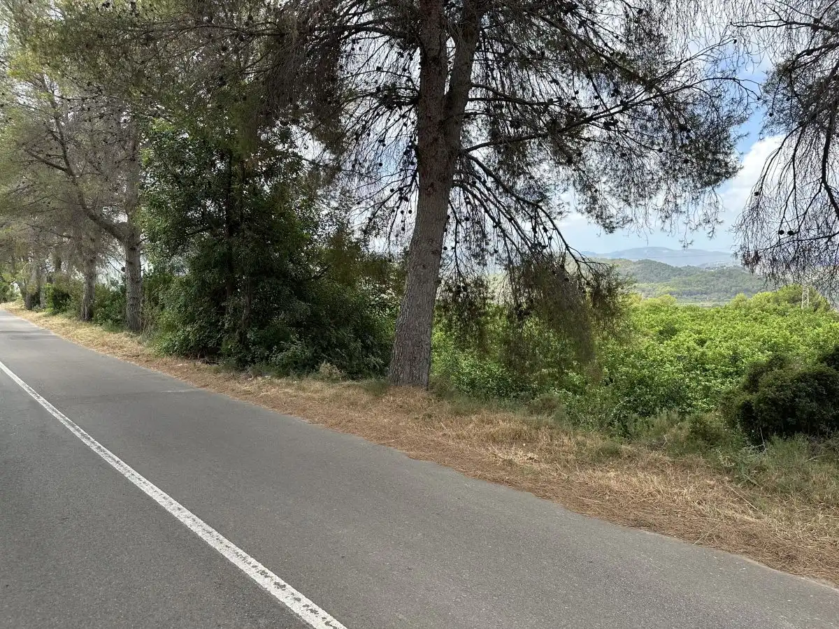Rural land for sale in Sagunto ciudad, imagen 4