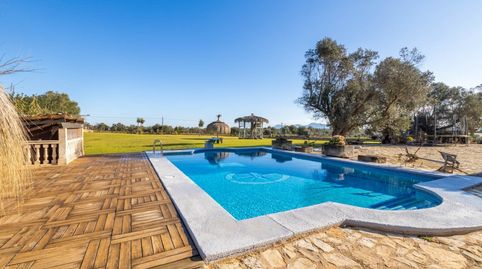 Foto 2 de Finca rústica en venta en Santa Margalida Poble, Santa Margalida