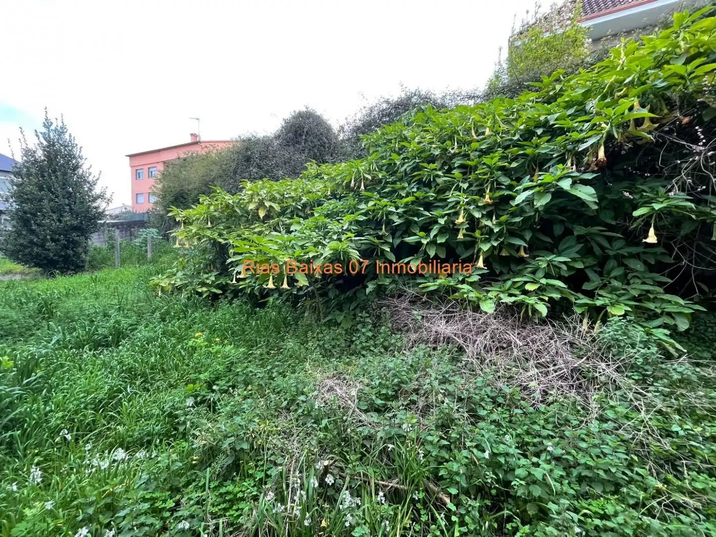 Maison à vendre à Redondela, imagen 33